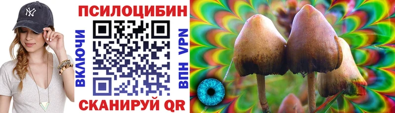 Галлюциногенные грибы прущие грибы  Купить где  Шуя 