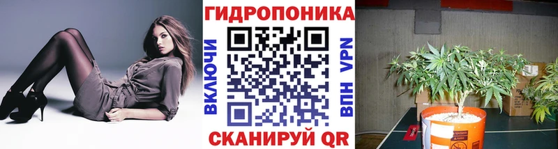 Марихуана Amnesia  Купить  Шуя 
